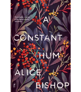 Text Publishing A Constant Hum