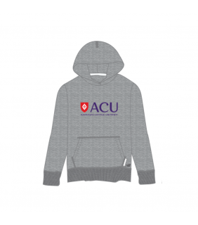 Mens Grey Pullover Hoodie Tonal Shield Logo