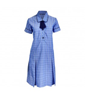 Dress Check Blue