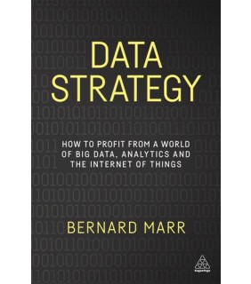 EBOOK Data Strategy