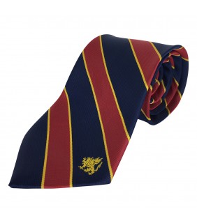 Tie College Unisex 147cm