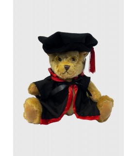 Graduation Bear PHD Hat Large 