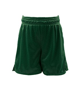 Mesh Sport Shorts