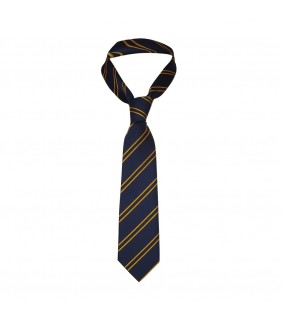 Tie Navy Stripe Boys Standard 