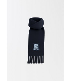 IJGS Navy Scarf