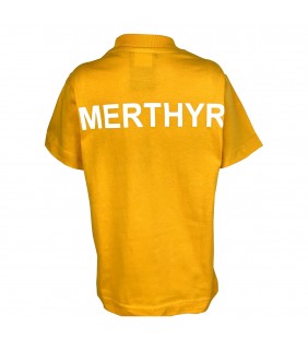 Polo Yellow Merthyr