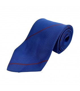 St Philip's College Tie Partridge 