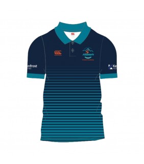 Male Striped Cricket Polo