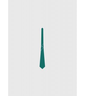Tie Boys Senior School Teal