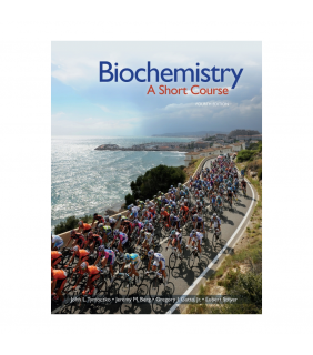 Macmillan Science & Education ebook Biochemistry 4E: A Short Course (IE)