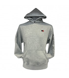 Mens Hoodie - Grey