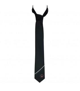 Tie Junior High Standard