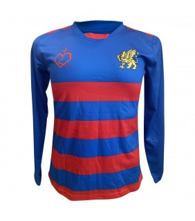 Training Tee L/S Youth