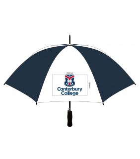 Large Umbrella