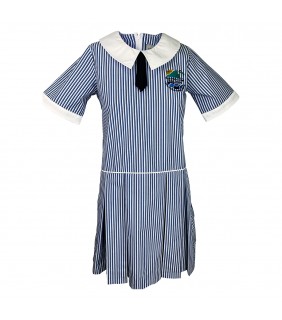 School Dress 