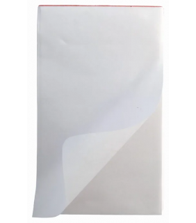 Protext 6x4 100 sheet Bank Office pad plain