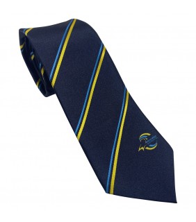 Senior Tie Boys