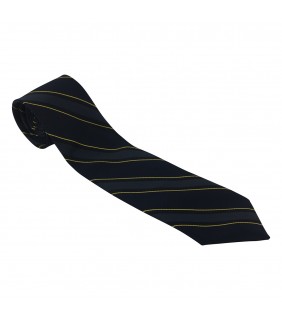 Tie Navy With Stripes (Junior)