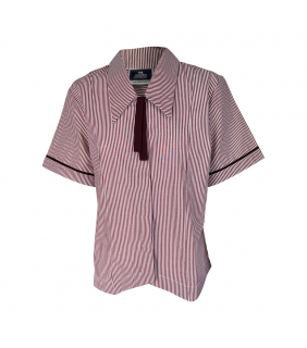 Blouse Formal w/tie