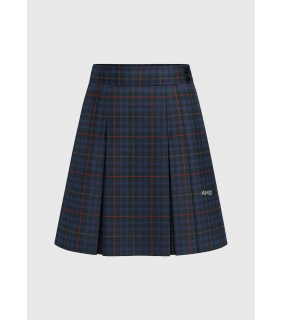 Skirt A-Line Wide Waist Band Single Pleat Plain Back