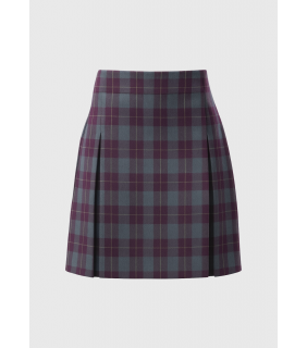 Skirt Formal Check