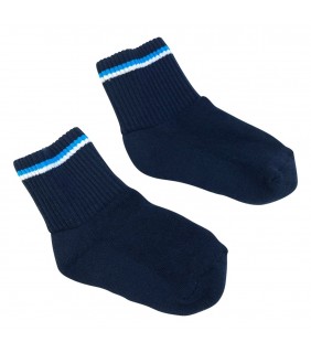 Socks Navy Stripe