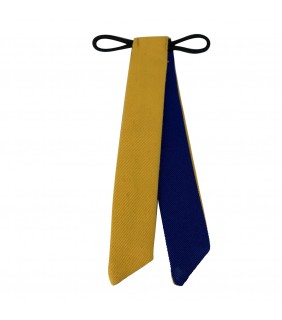 St Dympna's Parish School Tie for Dress