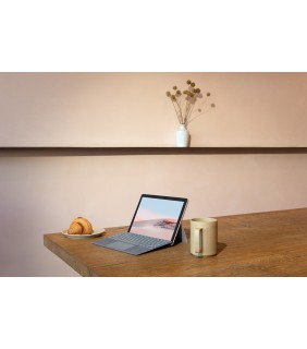 Microsoft Surface Go 2 Pentium 4GB 64GB  Win10 Pro Education Platinum