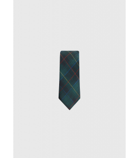 Tie Woven check