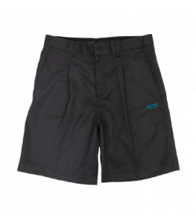 Shorts Formal Zip 