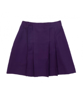 Skirt Formal 