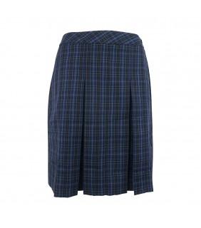 Skirt Pleated Check