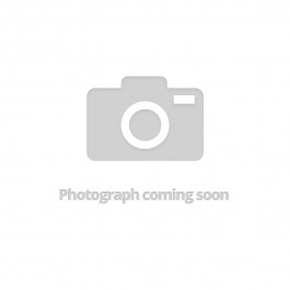 Shorts Formal Boys Expander Light Grey