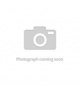 Shorts Formal Boys Expander Light Grey