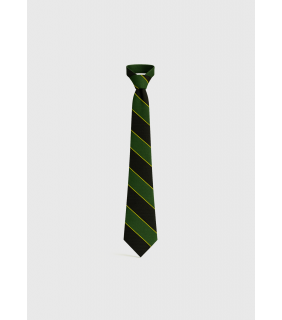 Tie JS & MS Olive & Gold