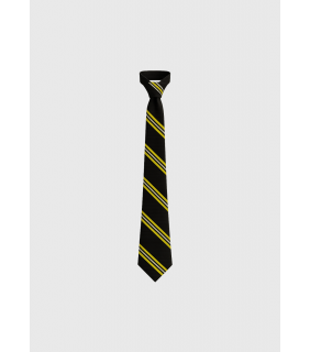 Tie Senior Black & Gold